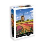 Cover von Tulpen
