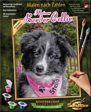 Cover von Malen nach Zahlen: Border Collie Puppy