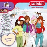 Cover von Folge 22: Spuren im Schnee
