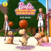 Cover von Folge 16: Bleib am Ball (Das Original-Hörspiel zur TV-Serie)