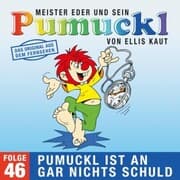 Cover von 46: Pumuckl ist an gar nichts schuld (Das Original aus dem Fernsehen)