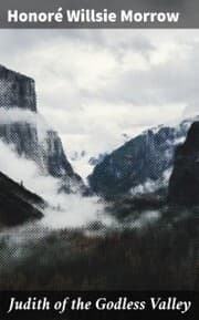 Cover von Judith of the Godless Valley