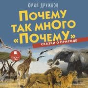 Cover von Pochemu tak mnogo «pochemu». Skazki o prirode