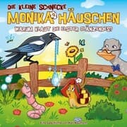 Cover von 71: Warum klaut die Elster Glänzendes?