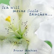 Cover von Ich will meine Seele tauchen ...