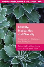 Cover von Equality, Inequalities and Diversity
