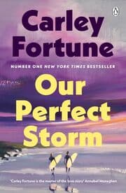 Cover von Our Perfect Storm
