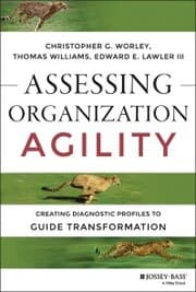 Cover von Assessing Organization Agility