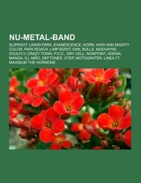 Cover von Nu-Metal-Band
