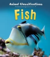 Cover von Fish