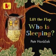 Cover von Who is Sleeping?