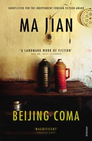 Cover von Beijing Coma