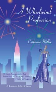 Cover von A Whirlwind Profession