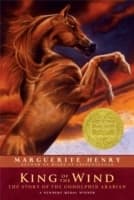 Cover von King of the Wind