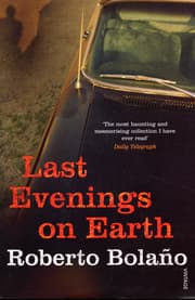 Cover von Last Evenings On Earth