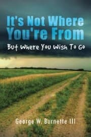 Cover von It's Not Where You're from but Where You Wish to Go