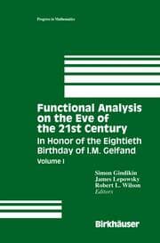 Cover von Functional Analysis on the Eve of the 21st Century