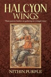 Cover von Halcyon Wings