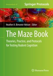 Cover von The Maze Book
