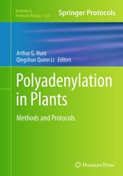 Cover von Polyadenylation in Plants