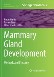 Cover von Mammary Gland Development