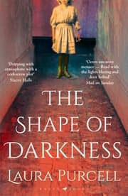 Cover von The Shape of Darkness