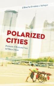 Cover von Polarized Cities