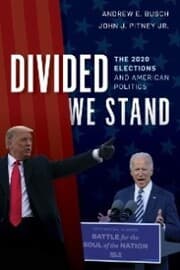 Cover von Divided We Stand