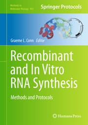 Cover von Recombinant and In Vitro RNA synthesis