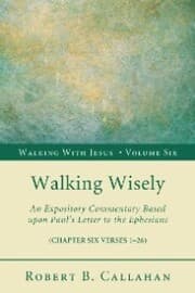 Cover von Walking Wisely