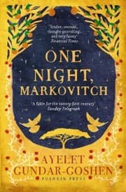 Cover von One Night, Markovitch