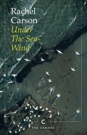 Cover von Under the Sea-Wind