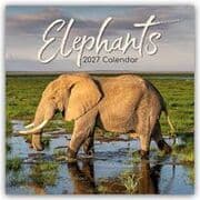 Cover von Elephants/Elefanten 2027