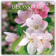 Cover von Blossoms - Blüten 2026 - 16-Monatskalender