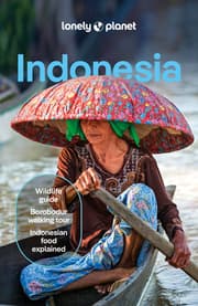 Cover von Indonesia Country Guide