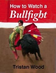 Cover von How to Watch a Bullfight