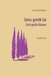 Cover von bims gretik lul
