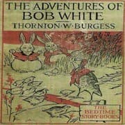 Cover von The Adventures of Bob White