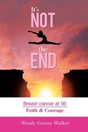 Cover von It's Not the End¿