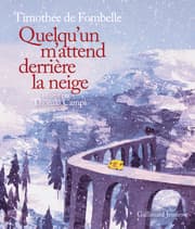 Cover von Quelqu'un m'attend derrière la neige