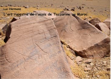 Cover von L'art rupestre de l'oasis de tazzarine au maroc