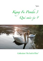 Cover von Kung Fu Panda 3