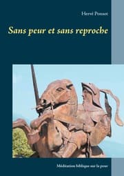 Cover von Sans peur et sans reproche