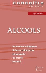 Cover von Fiche de lecture Alcools (Analyse littéraire de référence et résumé complet)