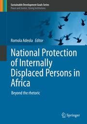 Cover von National Protection of Internally Displaced Persons in Africa