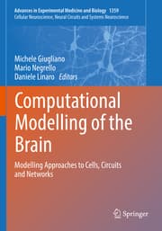 Cover von Computational Modelling of the Brain