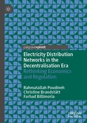 Cover von Electricity Distribution Networks in the Decentralisation Era