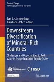 Cover von Downstream Diversification of Mineral-Rich Countries