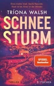 Cover von Schneesturm