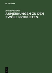 Cover von Anmerkungen zu den zwölf Propheten